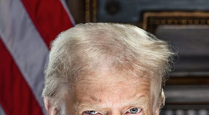 Trump is ruling like a ‘king’, following the Putin model. How can he be stopped?